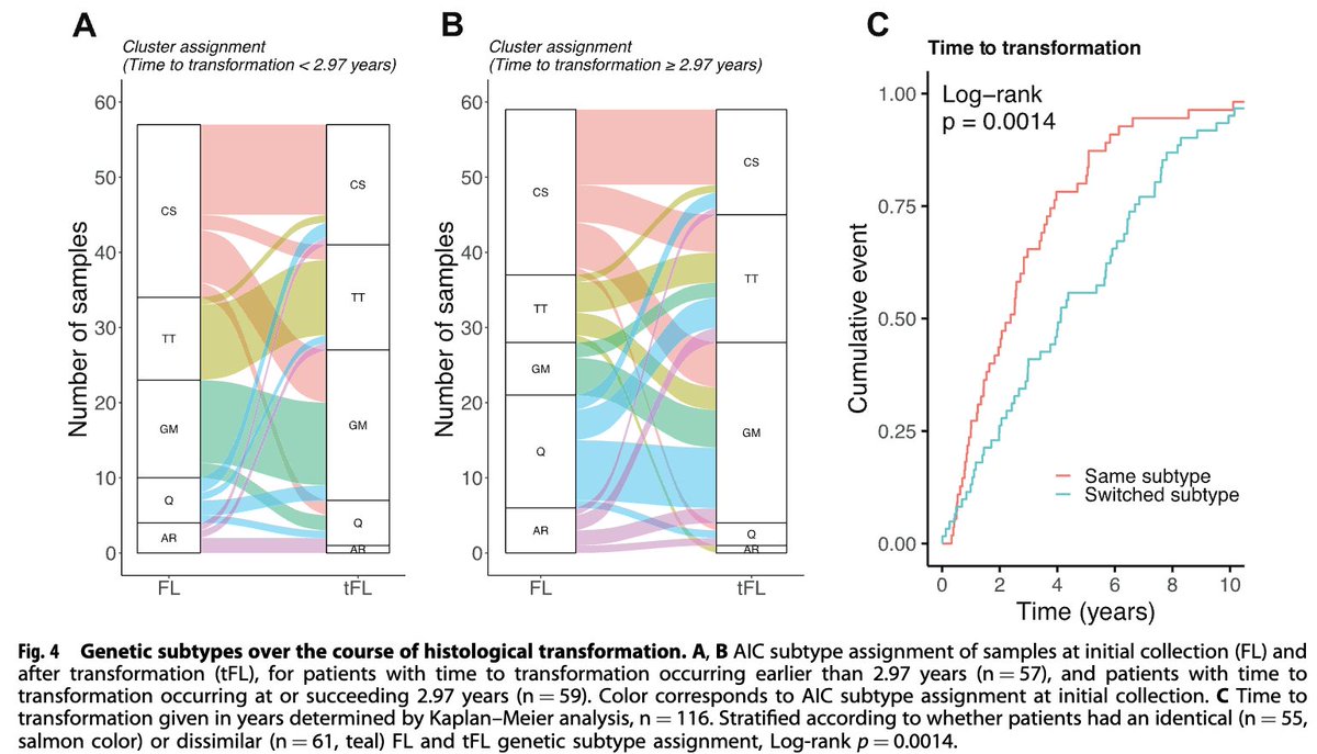 Andrew M. Evens, DO, MBA, MSc tweet media