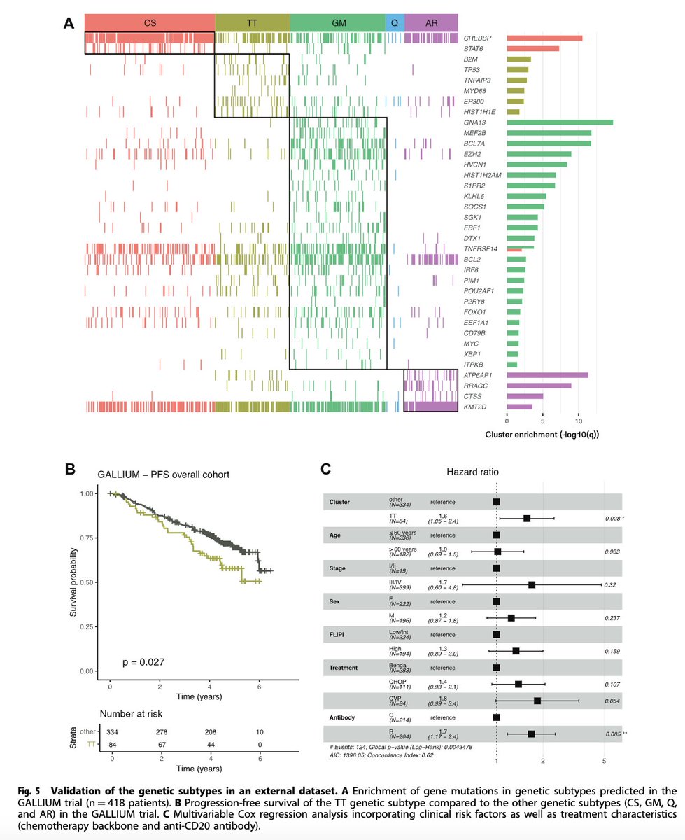 Andrew M. Evens, DO, MBA, MSc tweet media