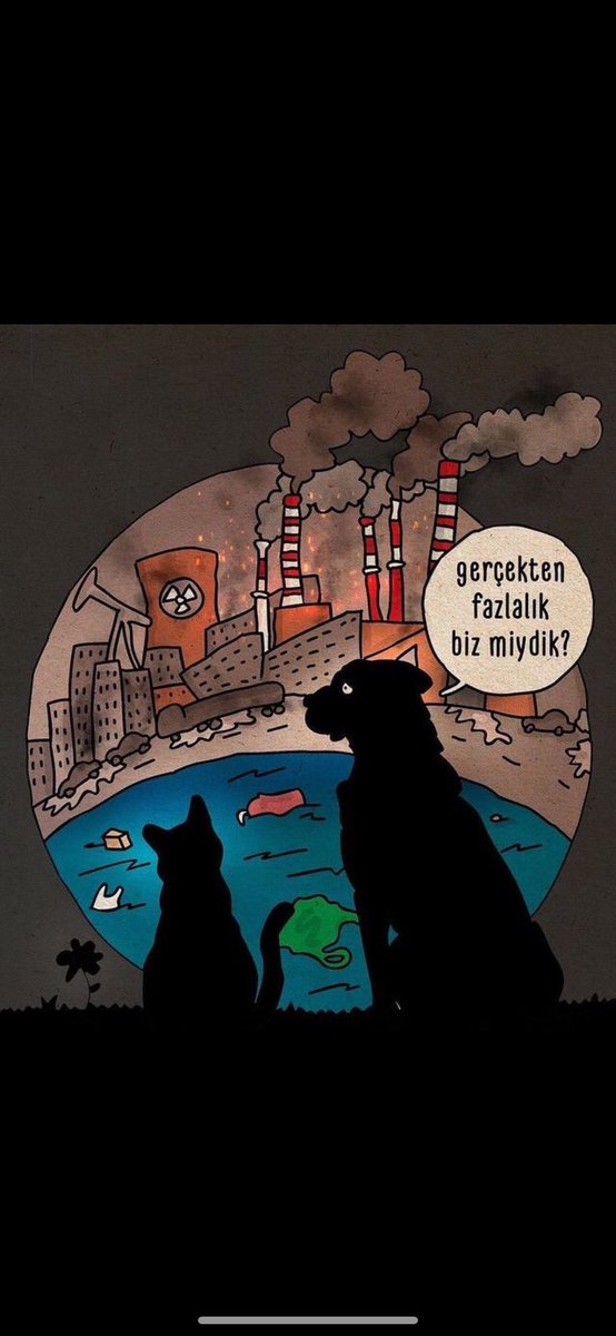 #türkiyedekatliamvar
 #AltindagdaKatliamVar