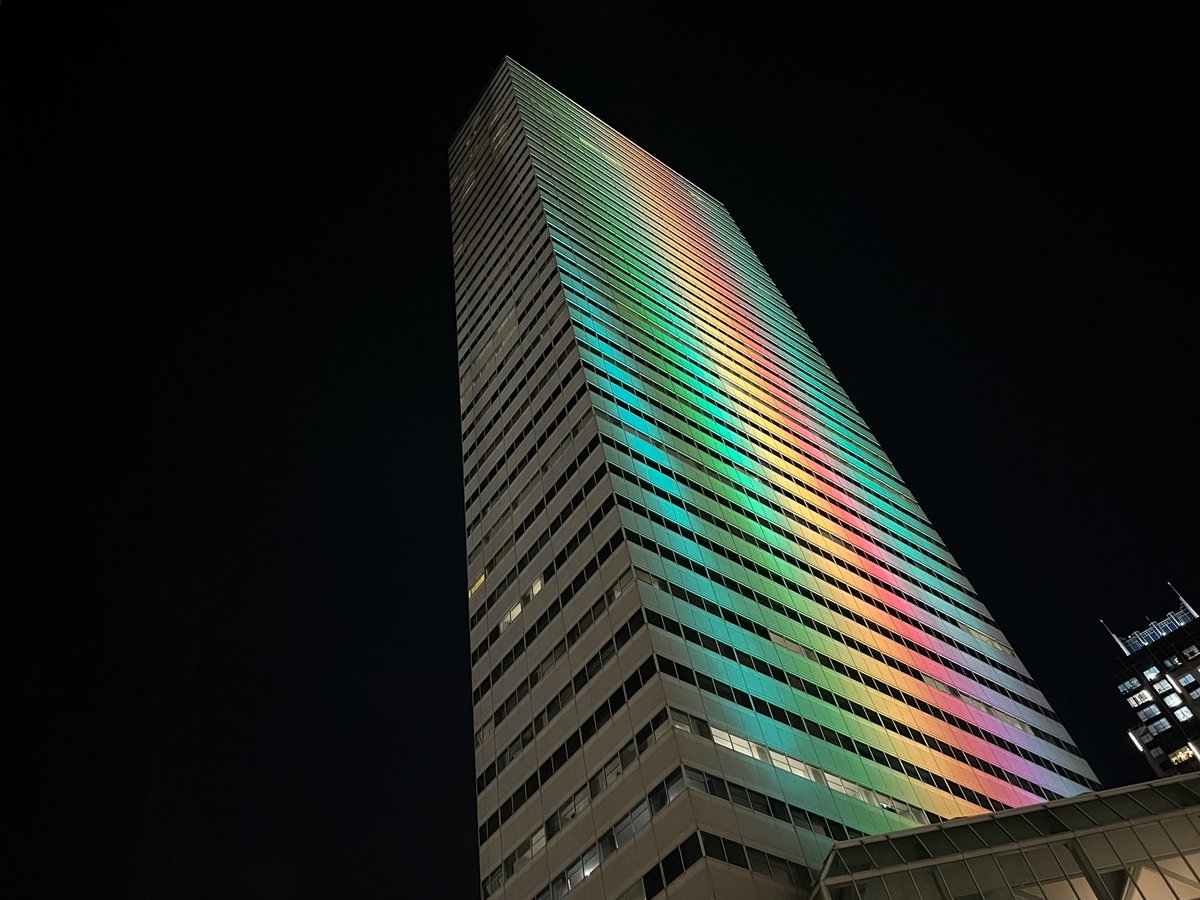 Chelsey Grasso tweet media