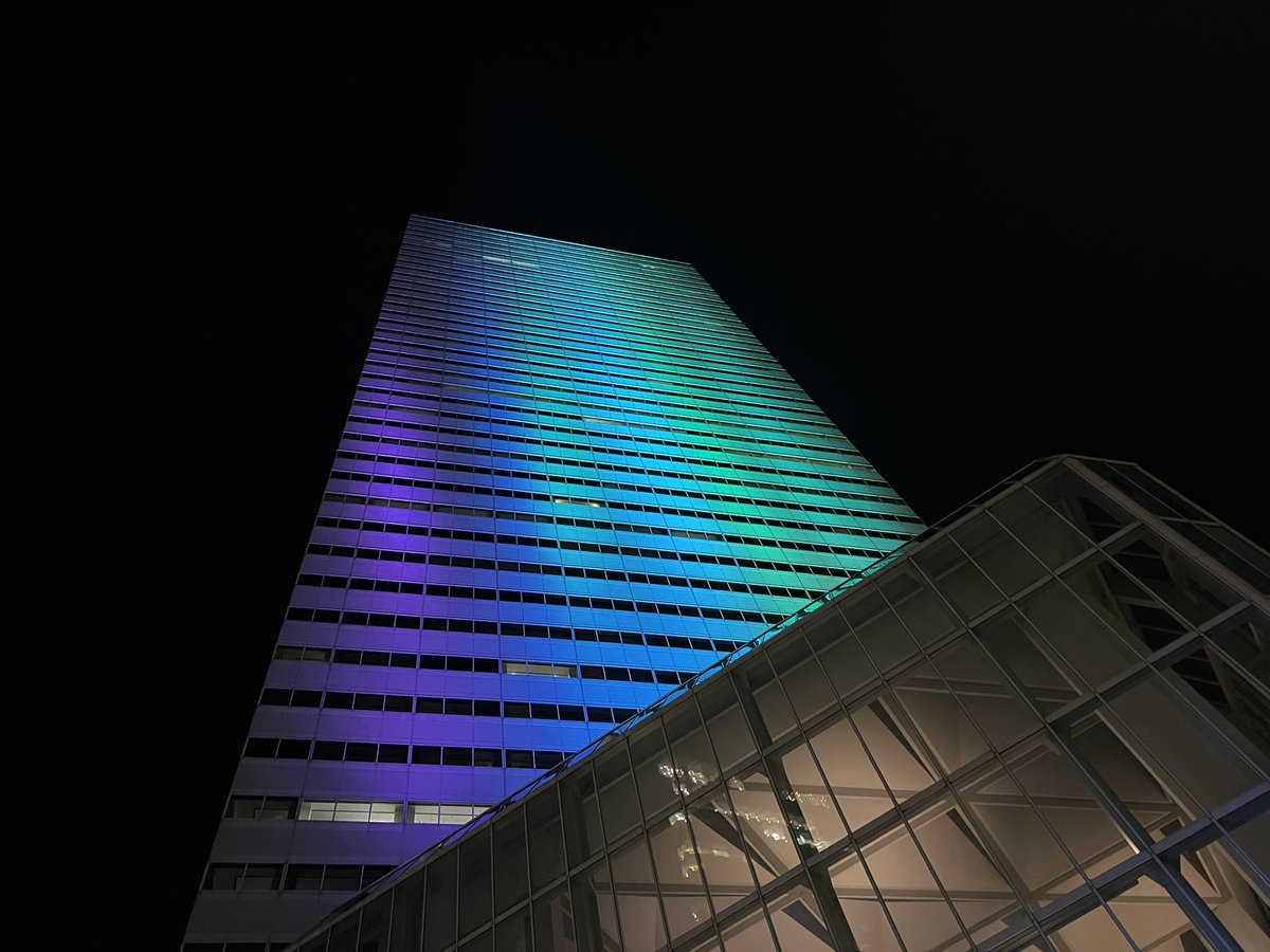 Chelsey Grasso tweet media