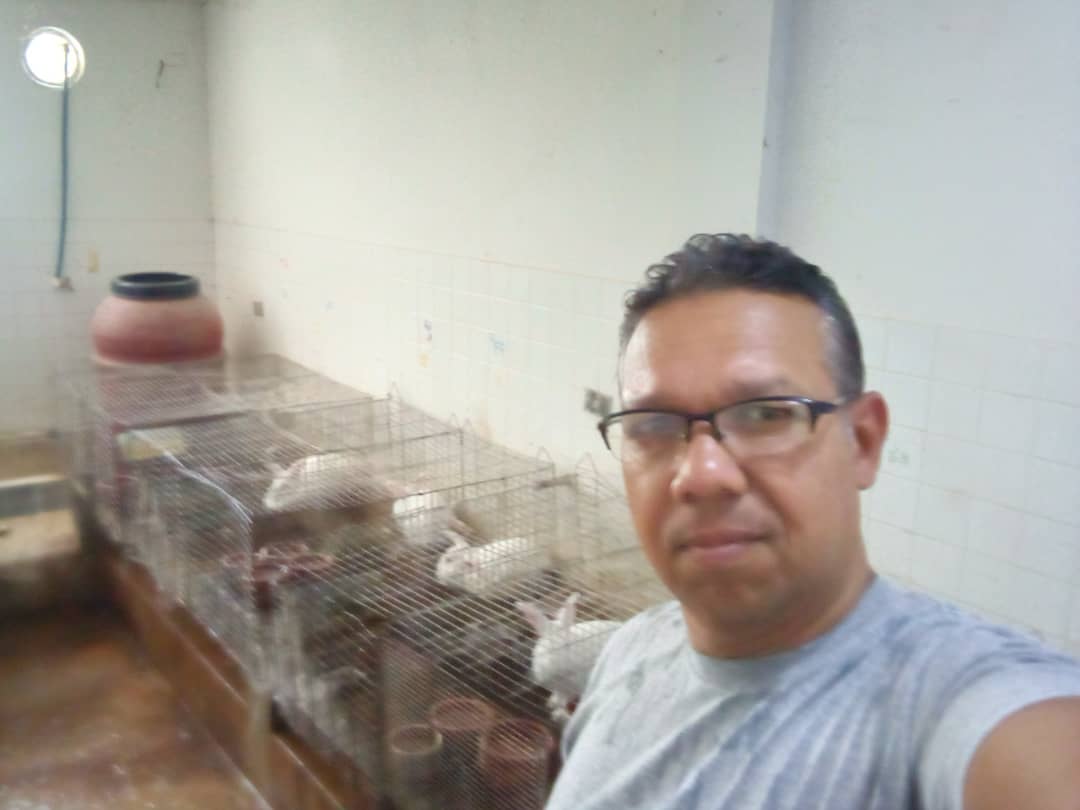 🚜Se realizó la atencion técnica al modulo cunicola UCV donde se llevo pasto para nidos y se realizo deteccion de celos. Se espera parto de  #coneja.  Seguimos Avanzando! #PuebloSonrienteYEnPaz 🇻🇪 @MinagrourbanaV <a href="/jhoagaby/">Jhoanna G Carrillo M</a> <a href="/Corpoagrourbana/">CorpoAgrourbana</a> <a href="/ciara_minppau/">Fundación CIARA</a>