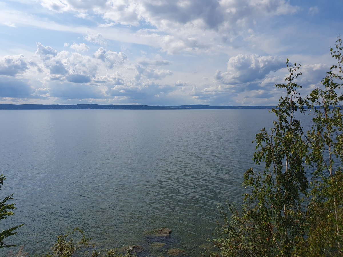 Diddeboy tweet media