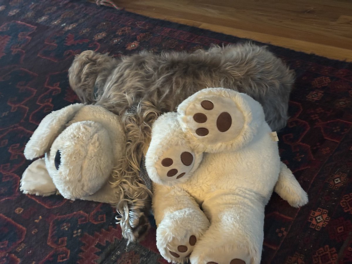 When the wind is blowing and the rain is hard, Bella suggests snuggles with a life-size softie.