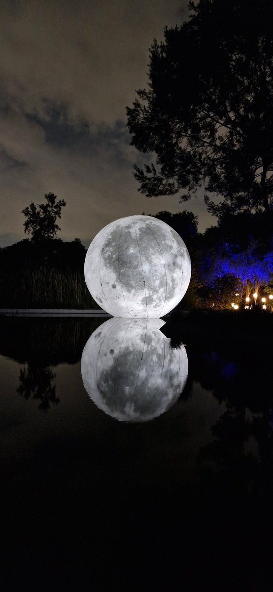 oscabelo's tweet photo. Iluminado la vida https://t.co/3WFPh7snAk