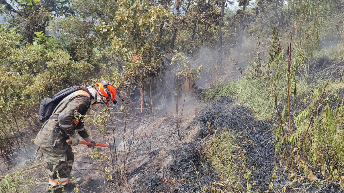 Al servicio de la población guatemalteca. 🫡🇬🇹

Brigada Humanitaria  y de Rescate del #EjércitoGT, efectuó trabajos de supresión de incendio forestal, en aldea chimusinique, zona 12, #Huehuetenango.
#GuatemalaSaleAdelante