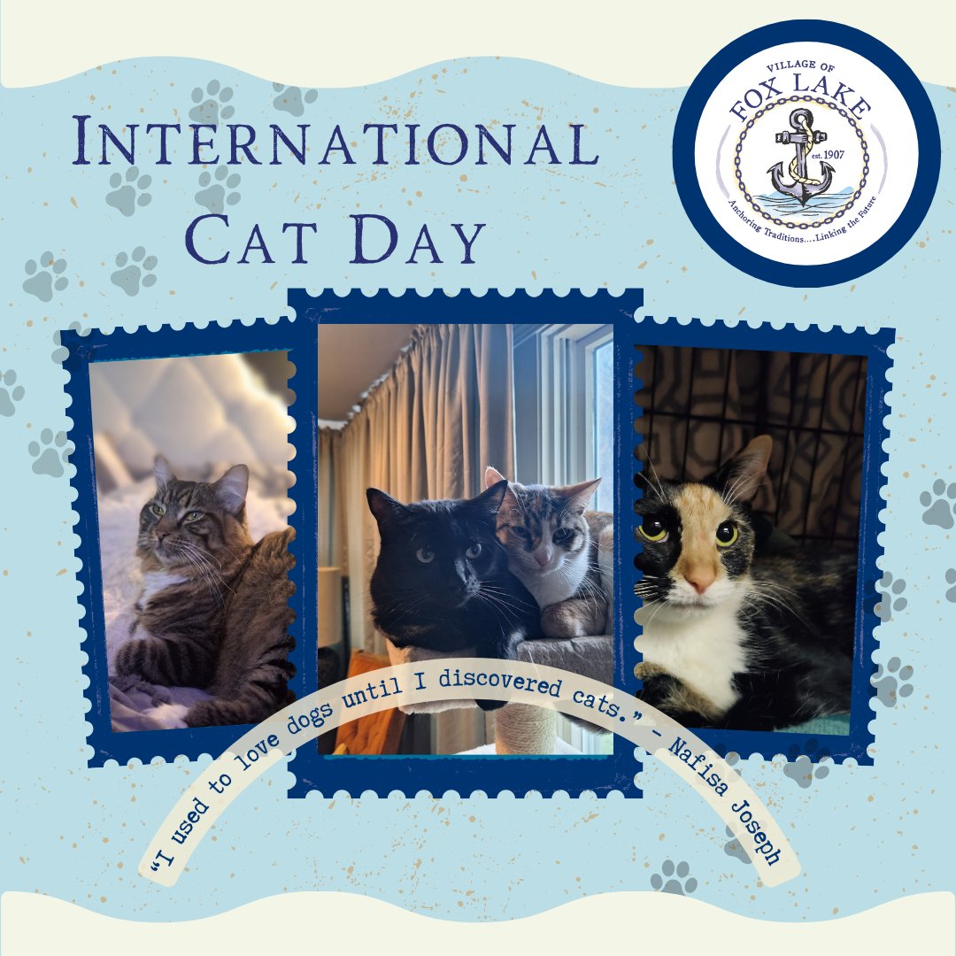 FoxLakeIL's tweet image. Happy International Cat Day! Share a photo with your feline friend to celebrate! Check out our Business Directory for local pet shops and groomers! foxlake.org/BusinessDirect… #InternationalCatDay #CatLovers #VillageOfFoxLake