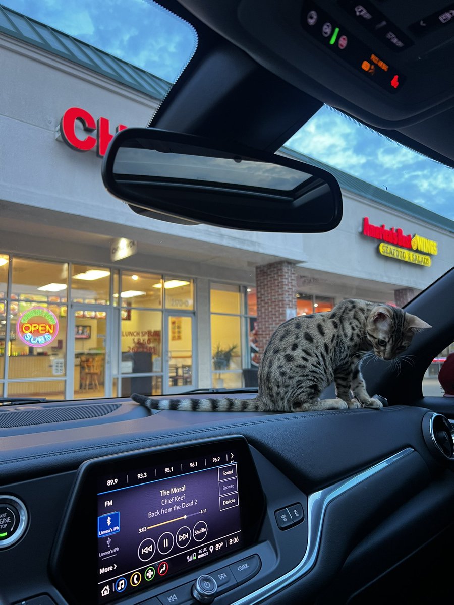 Itslinnealee's tweet photo. I am your Uber driver, get in 🙂 https://t.co/vDt42K9ld4