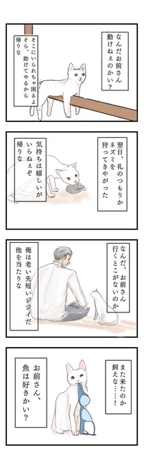 お題猫

#4コマ漫画
#漫画が読めるハッシュタグ 