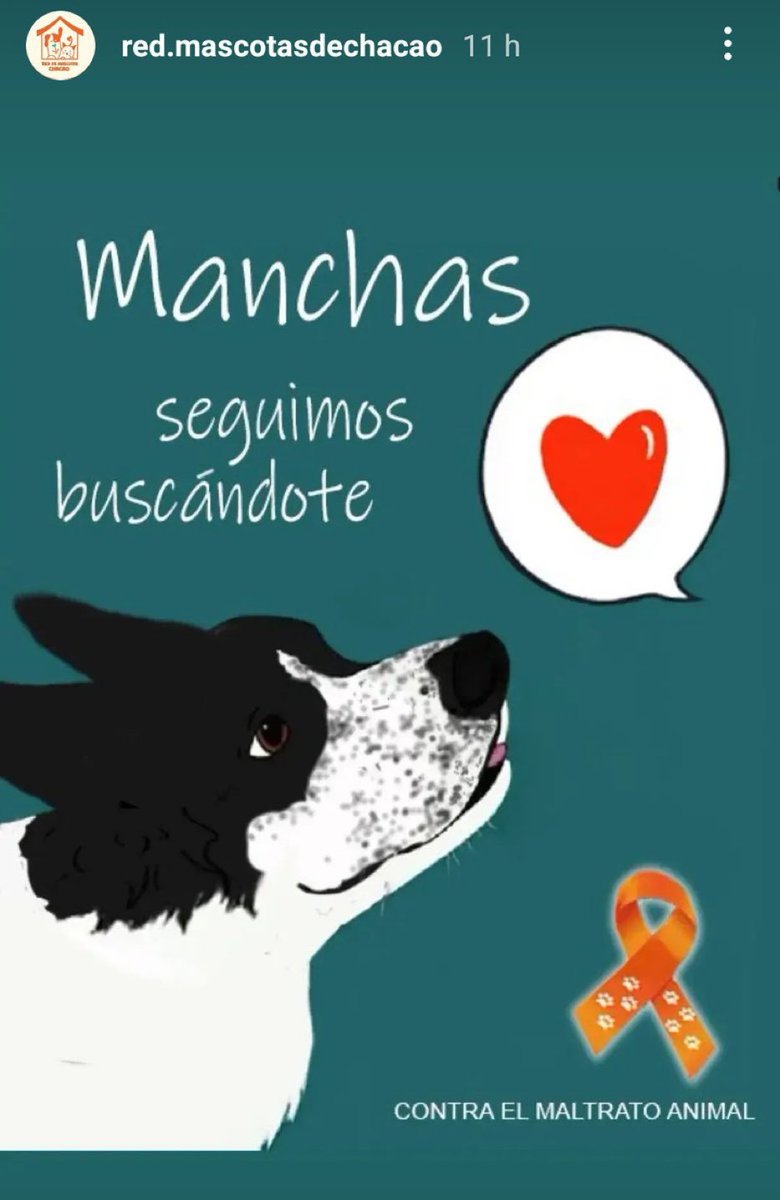 Rescata (@carmenzr04) on Twitter photo 