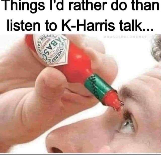 RightMsmagnolia's tweet photo. @harris_wins https://t.co/XcY450nUK4