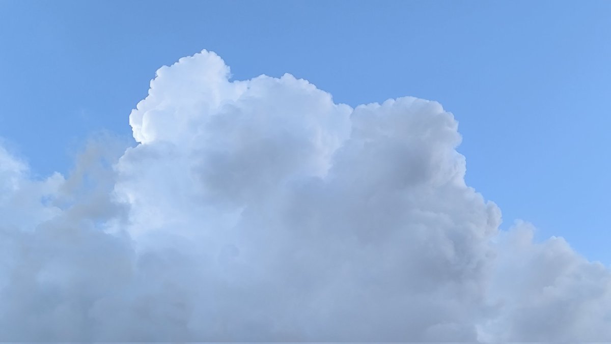 Hoy salí y me acosté a ver el cielo, me di un momento de reflexión y de agradecimiento, a veces olvidamos agradecernos a nosotros mismos por llegar a dónde hemos llegado, por superar cada piedra del camino

Hoy es un día para agradecerte a ti mismos 🫂