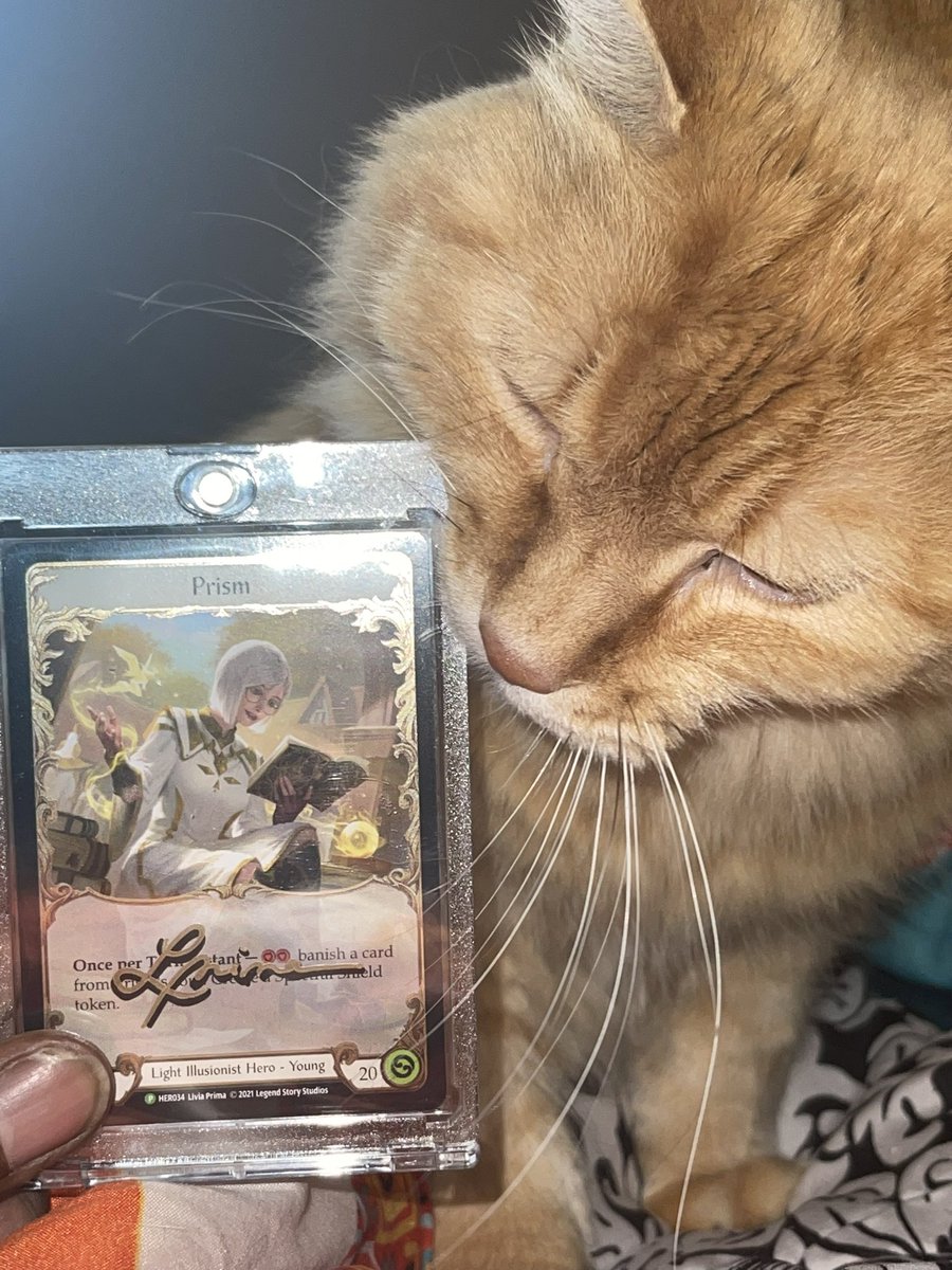 FABPackersDude's tweet photo. @fabtcg Leo’s ( and mine) favorite hero, in any format #fabcw #fabtcg https://t.co/4DtZJw7U9X