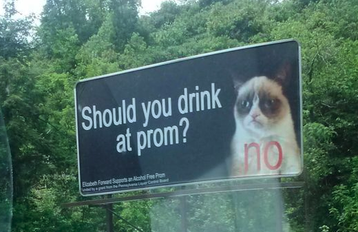 AdSemble's tweet photo. This creative #billboard campaign used the famous #GrumpyKitty to connect with viewers on important topics #Brilliant #Marketing #Advertising #AdSemble #InternationalCatDay #CatLoversUnite
https://t.co/CV8xTornOw https://t.co/WvG3wdcsHa