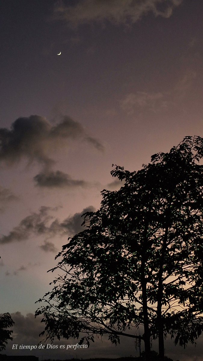 El tiempo de Dios es perfecto 🇻🇪