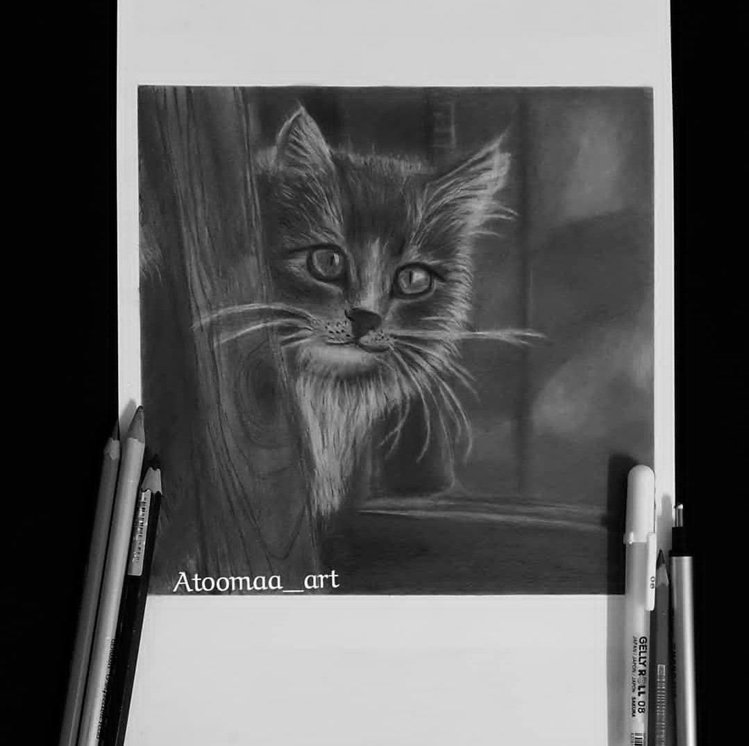 atoomaa_art's tweet photo. @alamalrsm 🐈😻🎨 https://t.co/14PJoeEYtE