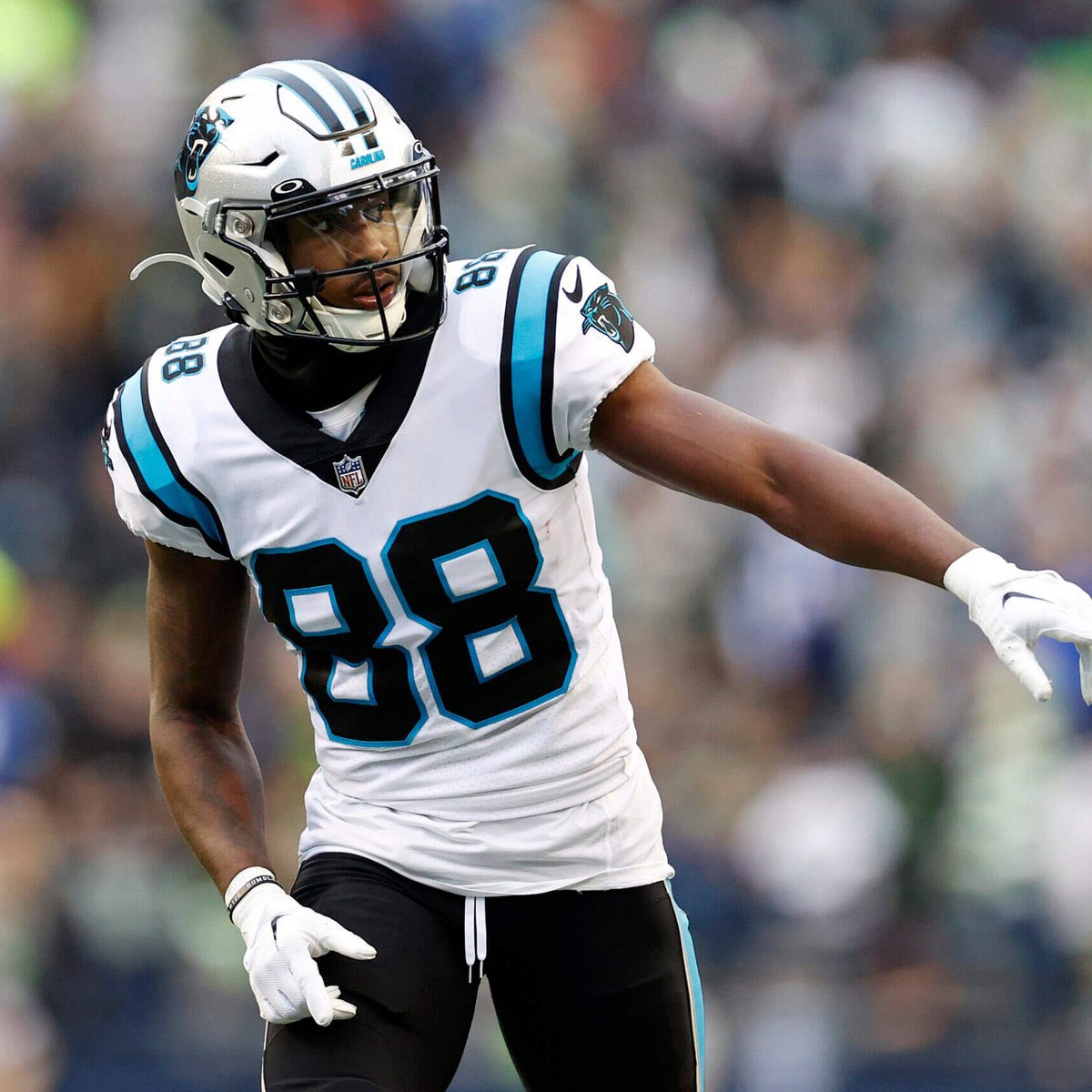 NCCatShack's tweet image. 