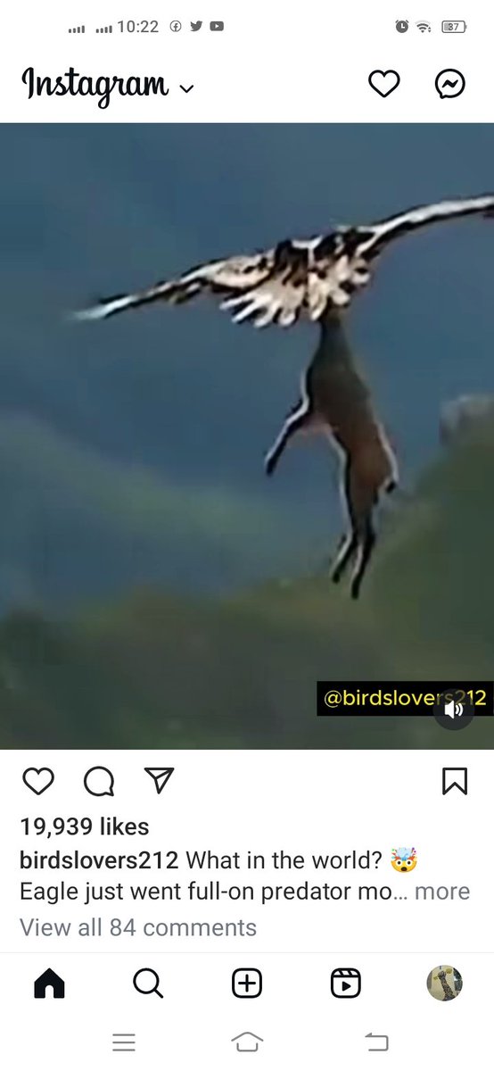اڄ ته رات آهي  سياسي  ڀوتارن  جي! 
ڪڏهن هي ٿو وڙهي، ڪڏهن هُو ٿو وڙهي. 

هت  ڪُوڙ  سجايل  ۽  سينگهاريل  آهي، 
ڪڏهن هي ٿو هڻي، ڪڏهن هُو ٿو هڻي.. 

هت  سچ اگهاڙو  ۽  نانگو  ٿو  نچي،
ڪڏهن هي ٿو چِڙي، ڪڏهن هُو ٿو چِڙي.

:76 سالن کان دور رهيو آ پرمارن جو
ڪڏهن هي ٿو ڦُري ڪڏهن هو ٿو ڦري