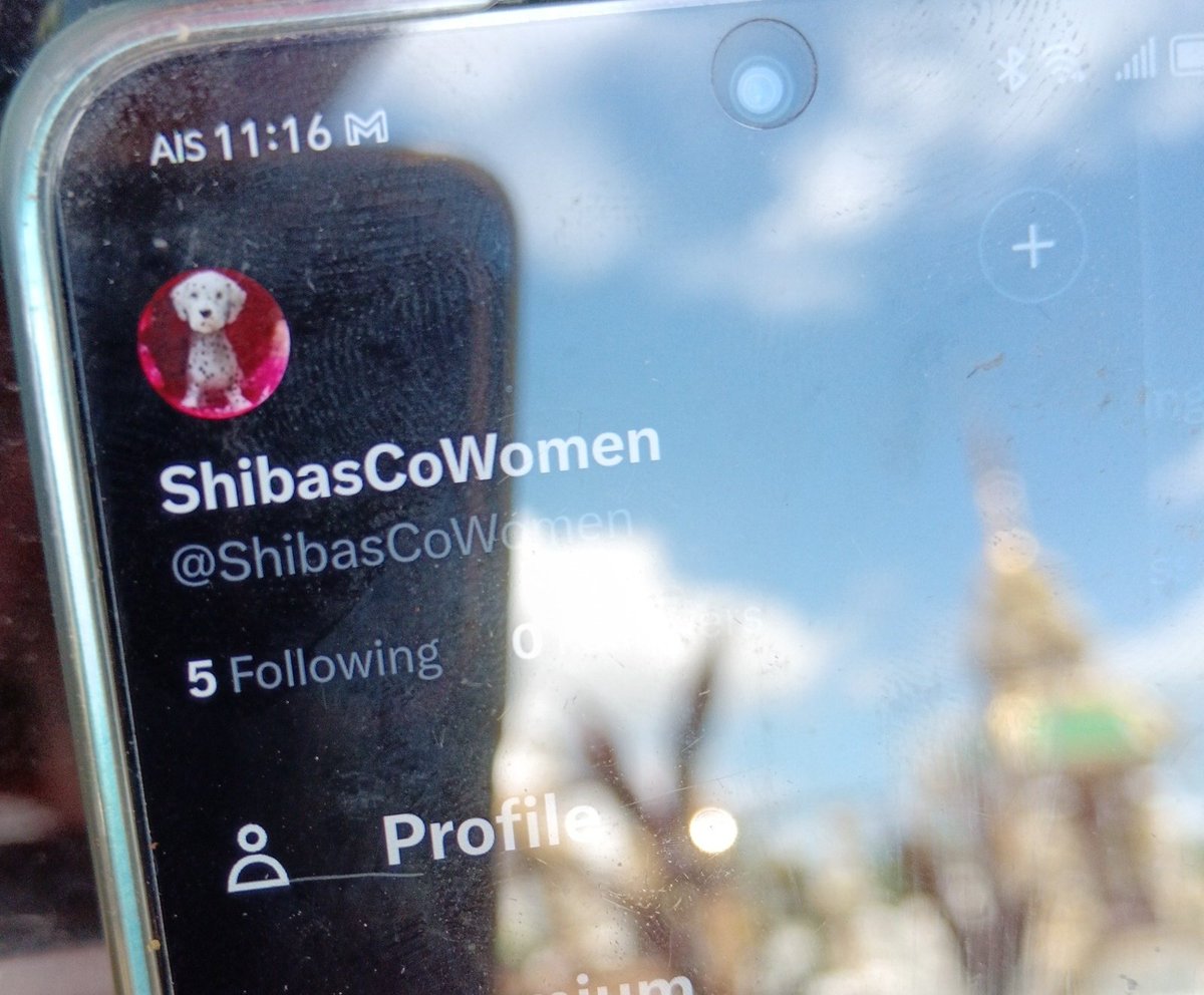 shitokenomics's tweet photo. $SHIB AS A RESULT OF LOVE #SHIBARMY and a voice for ALL
Welcome to the world of #spicy
#ShibDaily 100ml Liquidity AMA
Blessings to ALL investors who have been involved in the process of community building π₯
Call me π 8:00am Daily πΉπ
#CommunityFirst @siamblockchain @AndrewLads https://t.co/yofq6uIAjW