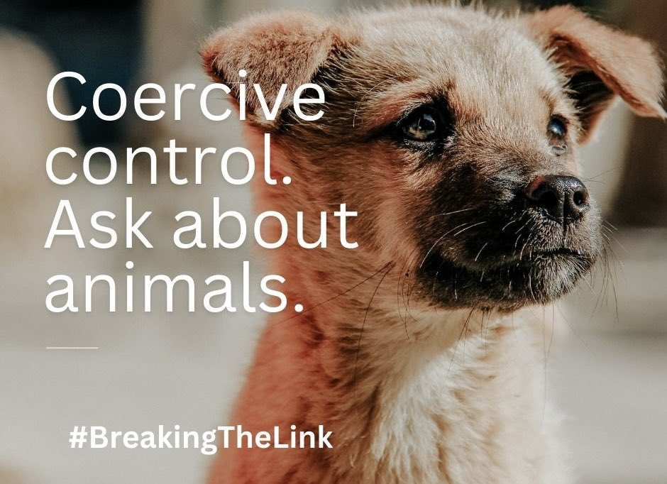Hidden-in-Sight 🕵🏼♂️ (@hi_sight) on Twitter photo Looking forward to presenting today with <a href="/Naturewatch_org/">Naturewatch Foundation</a> ‘Protect Animals. Protect People.’ campaign to South Yorkshire Police <a href="/syptweet/">South Yorkshire Police</a> - how taking crimes against animals seriously can help reduce violence against women and girls and domestic abuse #BreakingTheLink together Looking forward to presenting today with <a href="/Naturewatch_org/">Naturewatch Foundation</a> ‘Protect Animals. Protect People.’ campaign to South Yorkshire Police <a href="/syptweet/">South Yorkshire Police</a> - how taking crimes against animals seriously can help reduce violence against women and girls and domestic abuse #BreakingTheLink together