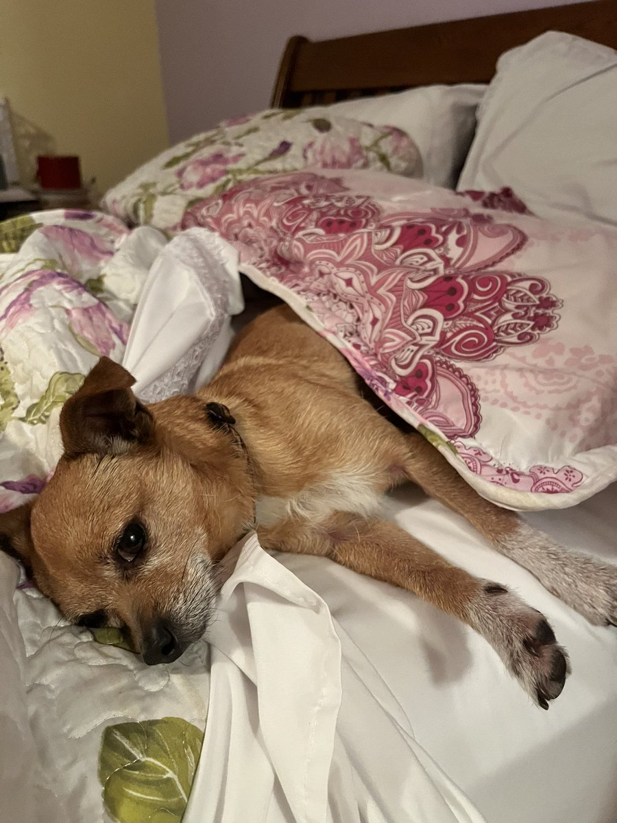 like this mf deserves to be serenaded