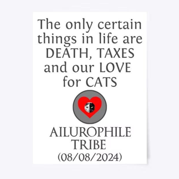 ChapoCatLover's tweet photo. Today I want to wish everyone a happy #InternationalCatDay2024 as a happy and very proud Cat Uncle (hopefully soon Dad) I have been spoiling our dear feline with her substance of choice (Catnip) Hopefully every cat person is enjoying the day with their fluffy companion(s). https://t.co/i3l3P3vVR7
