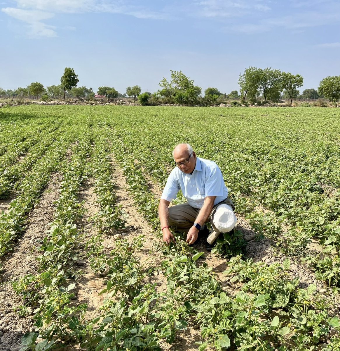 MuktiBasu's tweet image. Imports of pulses are still active in govt agenda undermining the climate advantage, opportunities and strength of Indian farmers. 
India could be leading exporter of pulses and oilseeds and edible oil just by supporting smallholder farmers in drylands.

@ChouhanShivraj @PMOIndia