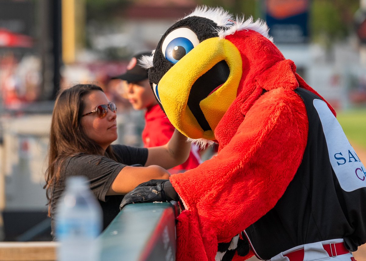 Hawkeye 🪶 tweet media