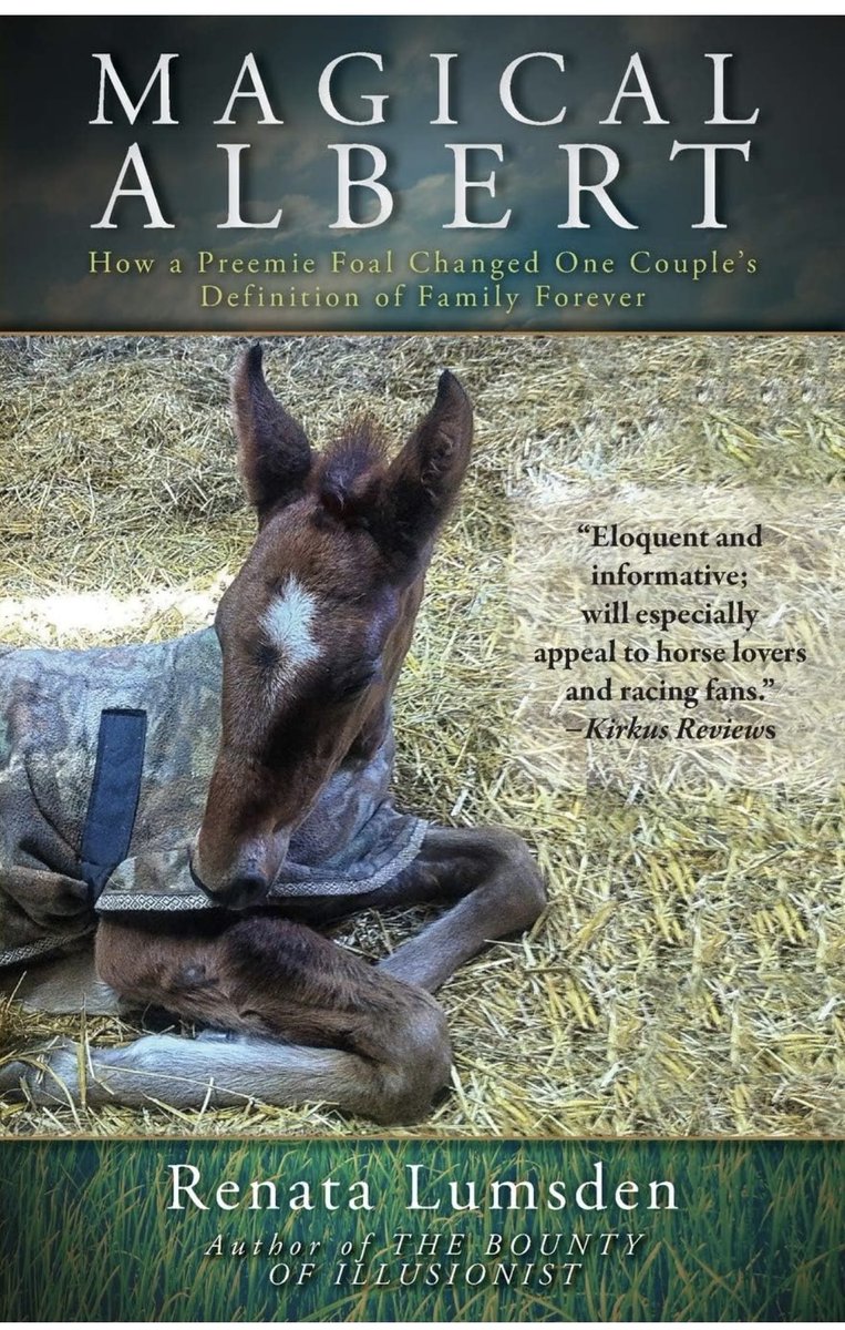 LusiAndAlbert's tweet photo. Many thanks to horse lovers for choosing The Bounty of Illusionist and Magical Albert this summer. These true horse stories continue to find new homes. #Guelph #Ancaster #Dundas #Hamilton #herdfamily #horselover #MagicalAlbert #Thebountyofillusionist https://t.co/njIjhoYRMw