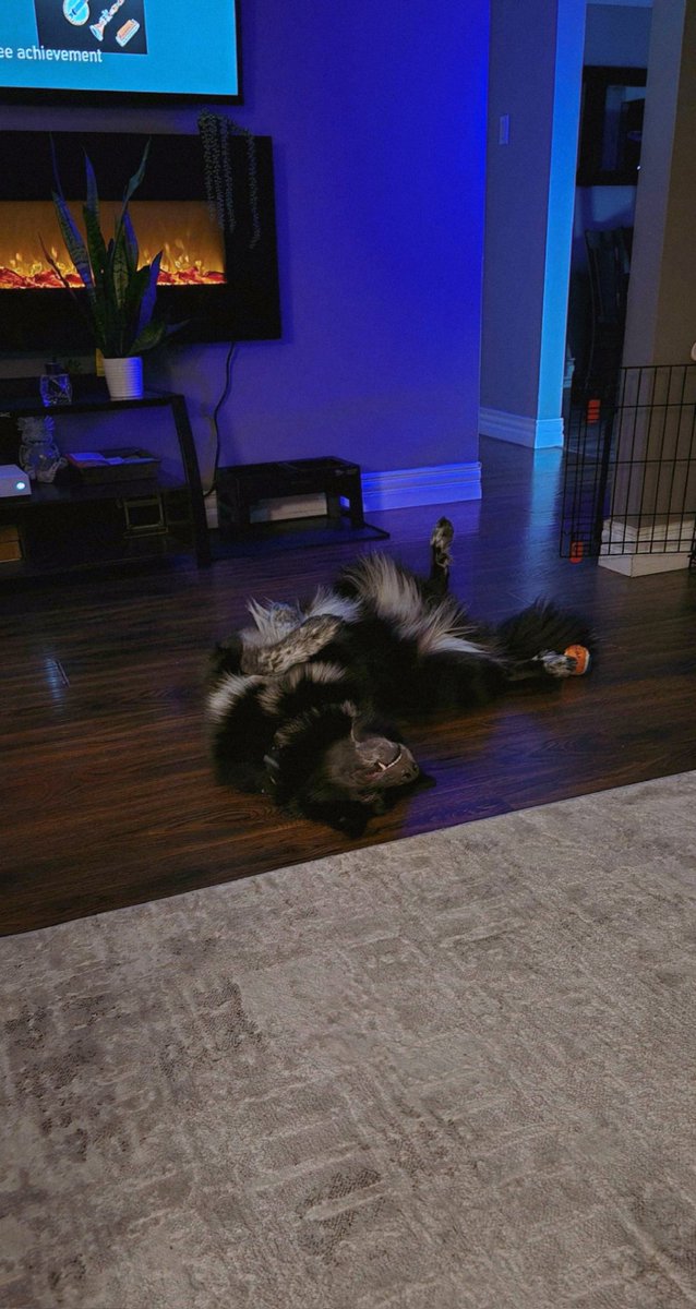 Sαɱ ♡ tweet media