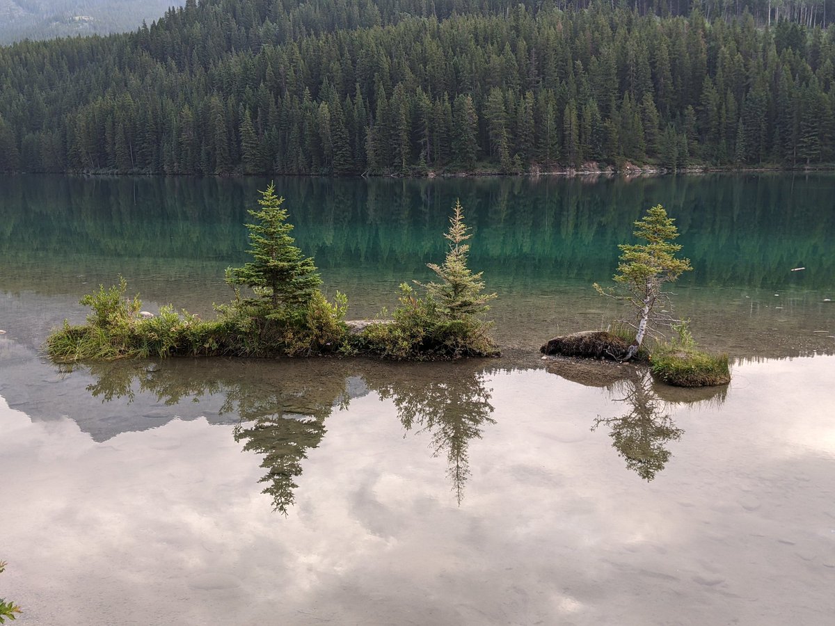 JRobinHighley's tweet image. Alberta