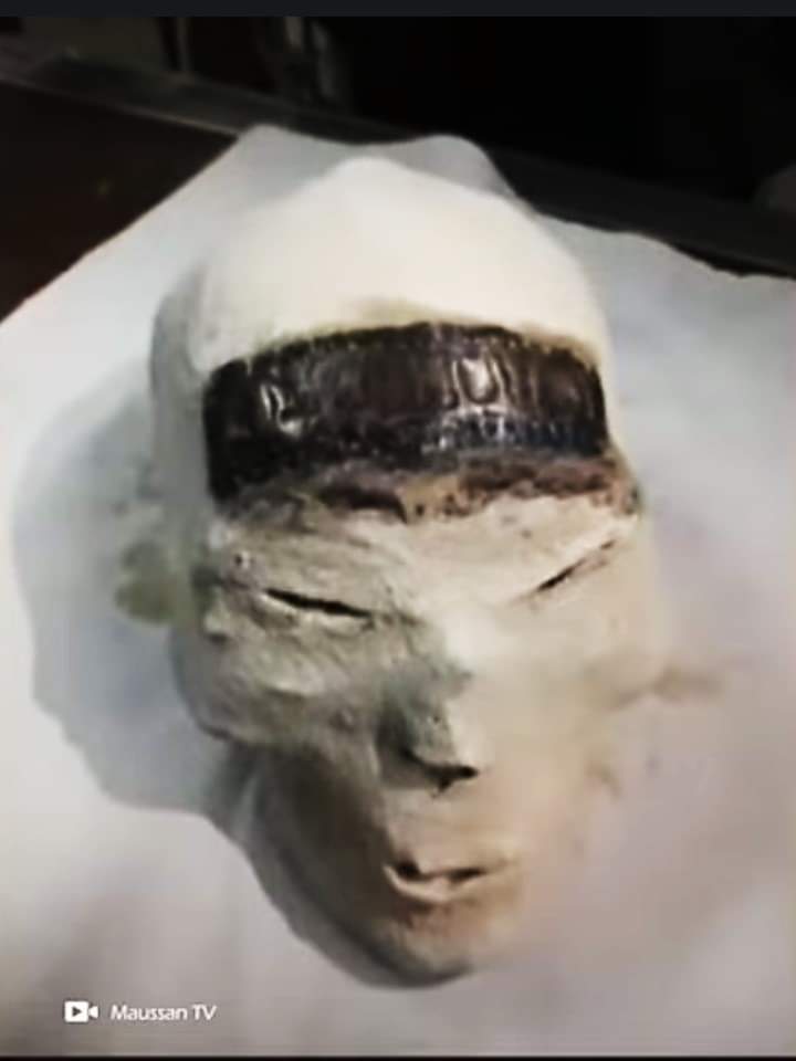 JosCRios's tweet photo. Loose heads from the discovery site of the Nazca tridactyls in Peru.

Biologist José de la C. Ríos López https://t.co/skQgKM7dbl