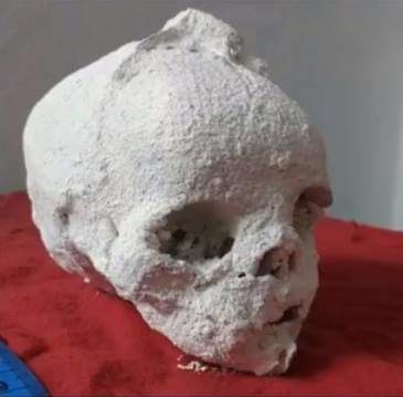 JosCRios's tweet photo. Loose heads from the discovery site of the Nazca tridactyls in Peru.

Biologist José de la C. Ríos López https://t.co/skQgKM7dbl