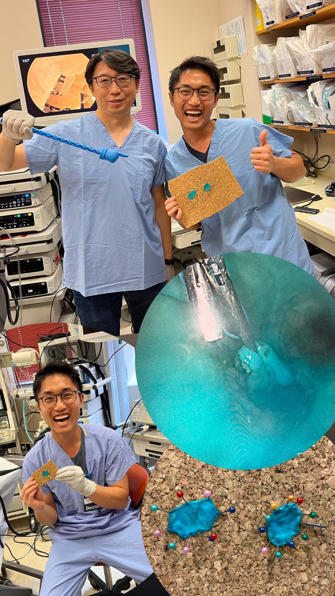 Shuji Mitsuhashi 三橋秀路 (@shugi821) on Twitter photo Honored to learn ESD from my incredible mentor, Dr <a href="/KambaShunsuke/">Shunsuke Kamba M.D., Ph.D.</a>, a true expert☝️!! I am also truly grateful to the DEU team <a href="/MayoClinicGIHep/">Mayo Clinic Gastroenterology & Hepatology</a> for this amazing opportunity to expand my knowledge in endoscopy 😍🙇🏻♂️ Honored to learn ESD from my incredible mentor, Dr <a href="/KambaShunsuke/">Shunsuke Kamba M.D., Ph.D.</a>, a true expert☝️!! I am also truly grateful to the DEU team <a href="/MayoClinicGIHep/">Mayo Clinic Gastroenterology & Hepatology</a> for this amazing opportunity to expand my knowledge in endoscopy 😍🙇🏻♂️