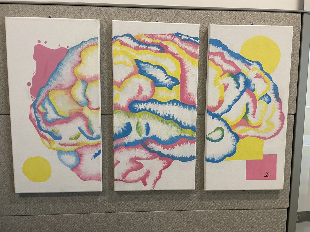 We love beautiful art. How gorgeous is this brain?! #NeuroTwitter @NMatch2025 <a href="/UCD_Neurology/">UC Davis Neurology</a> <a href="/UCDavisHealth/">UC Davis Health</a>