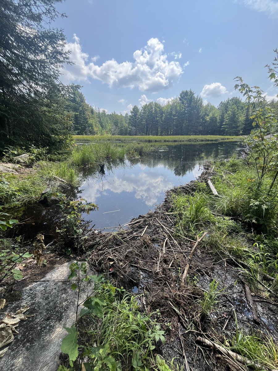 10.4 KM hike.
#CentennialRidges #AlgonquinPark