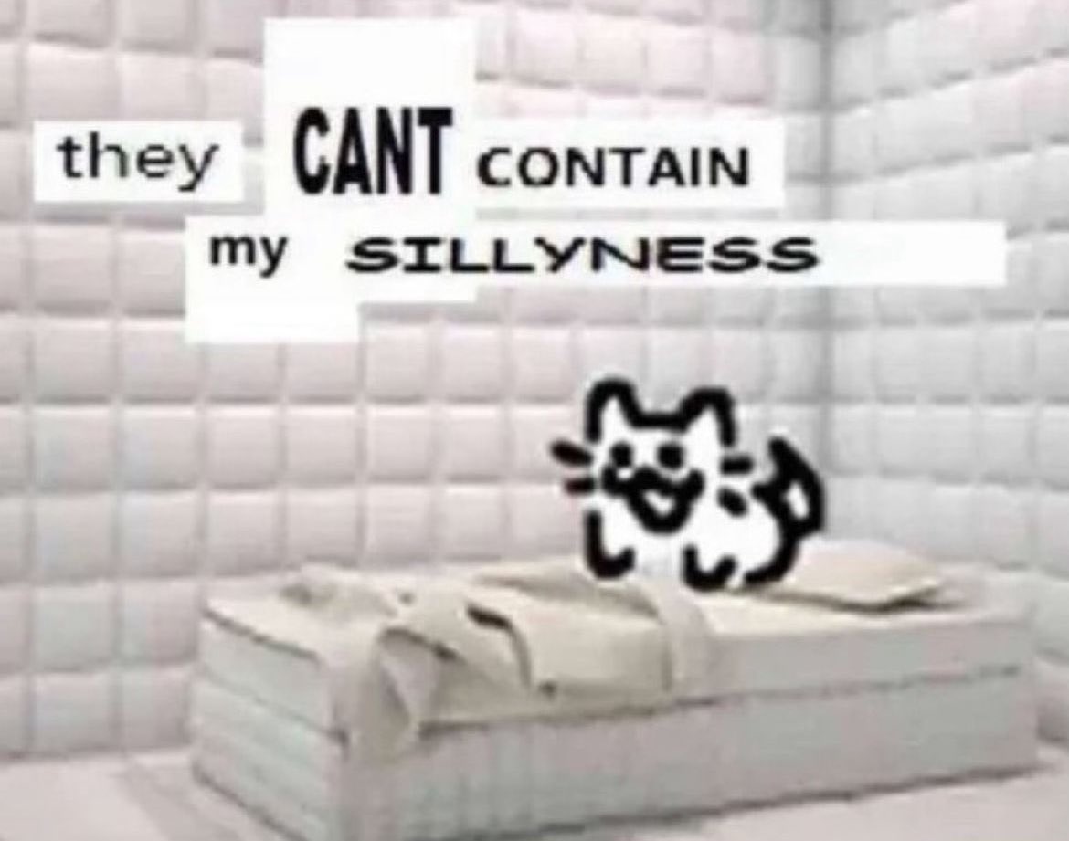 Punch Cat tweet media