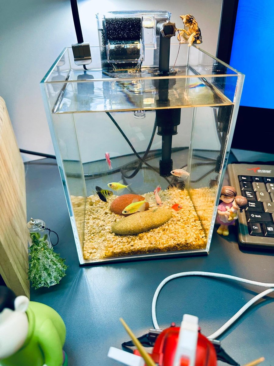 魚との出会いは、生活の詩情の一つです。金魚鉢の静かで、生活の中の淡々としているようです。😊😊
オフィスで魚を飼って、リラックスして仕事の効率を高めます!🐳🐳🐟🐟