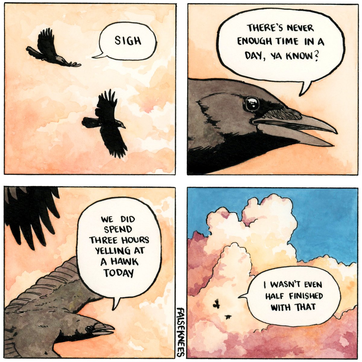 False Knees (@falseknees) on Twitter photo 