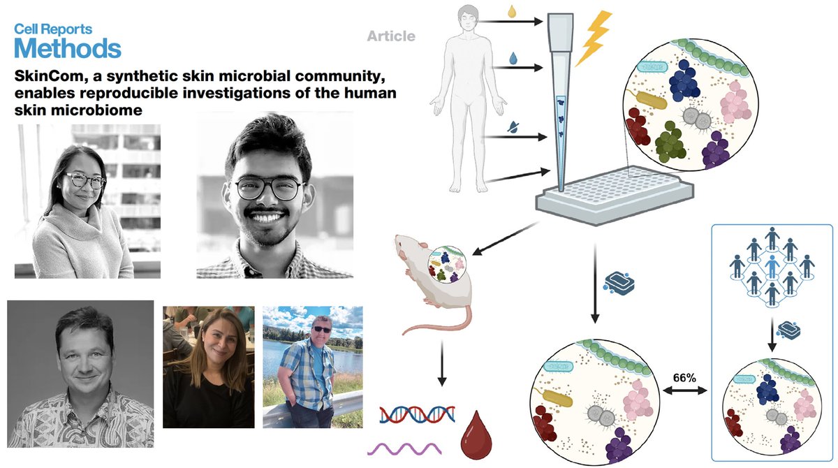 ᐯIᑕTOᖇ ᑎIᘔET tweet media