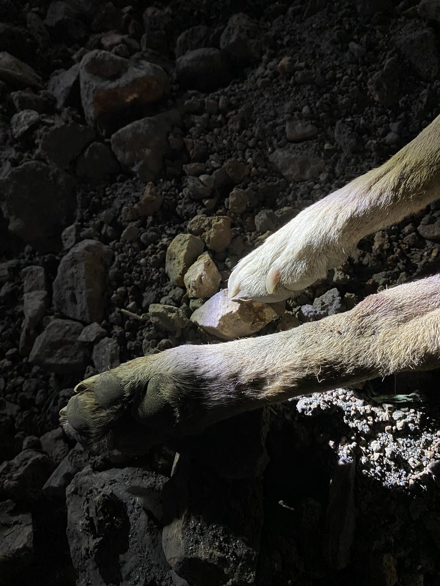 Uyumayın ! 
Uyumayın ! 
Uyumayın ! 
Uyumayın ! 
#AltindagdaKatliamVar