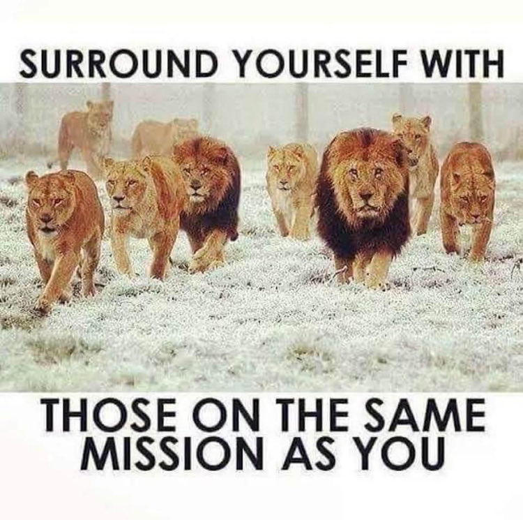 taniataylorpowe's tweet photo. Small minds argue &amp; assume. Smart loving people discuss ideas &amp; seek solutions. #weareonelove #intersectionality #noneofusarefreeuntilallofusarefree #humanrightsforallhumans #love #chooselove #peace #choosepeace #freedom #lovepeacefreedom #onehumanrace #saltingthevibes #roar https://t.co/u4ahXPYBwH