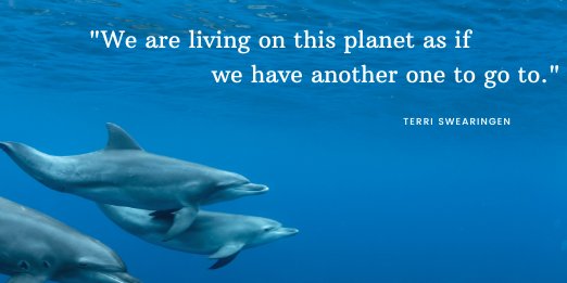 AnnaKavanaugh's tweet image. Collective public pressure moves government and corporate power when it impacts financials. Token regulations are inadequately enforced. We must join in action as one world community to end now all funding of devastation to our planet and future. 🌎 #Environment #ClimateCrisis