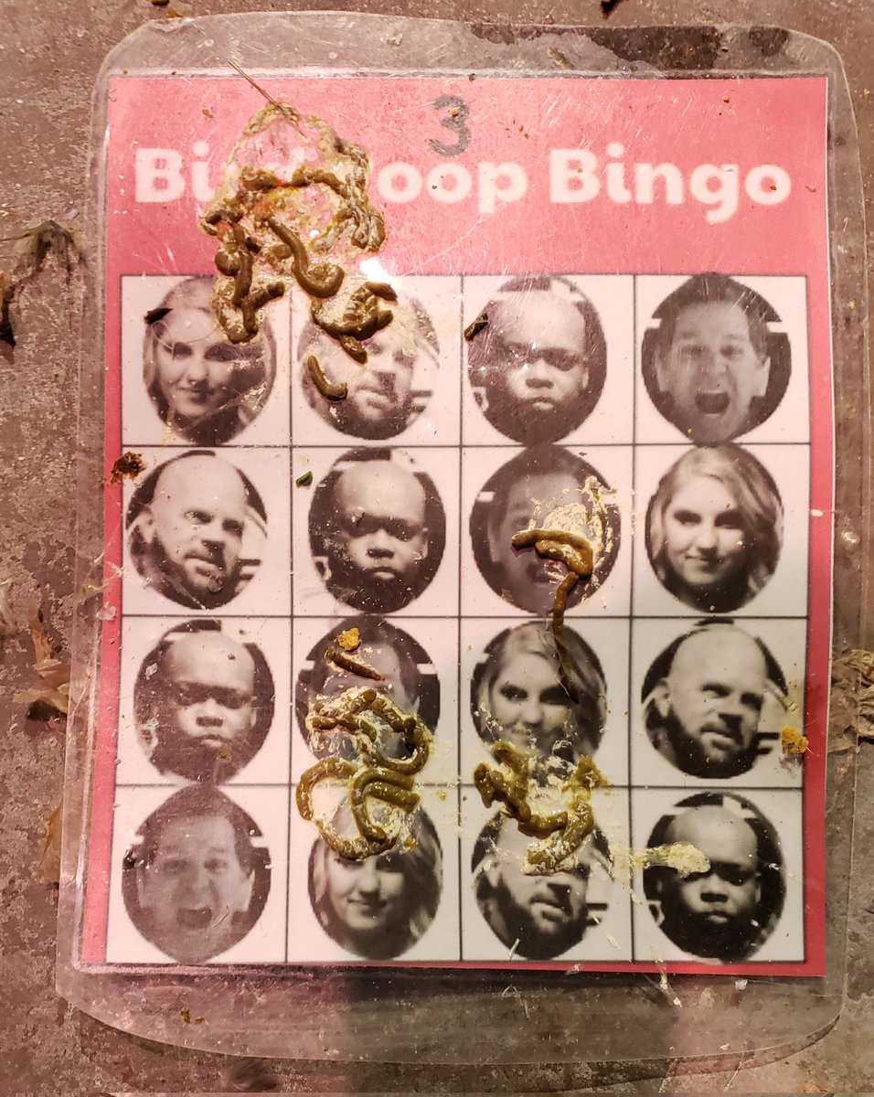 BlueYake's tweet photo. @LexandTerry @TerryJaymes @lexstaley @BVNP @sarahBmorgan Thursday's bingo winner was Terry! https://t.co/KqhFSrOJC1