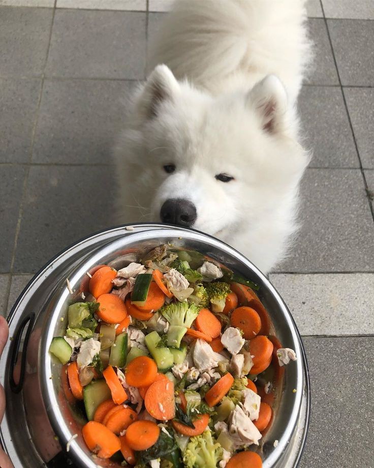 I had a lot of meat but he chose to have breakfast with this.