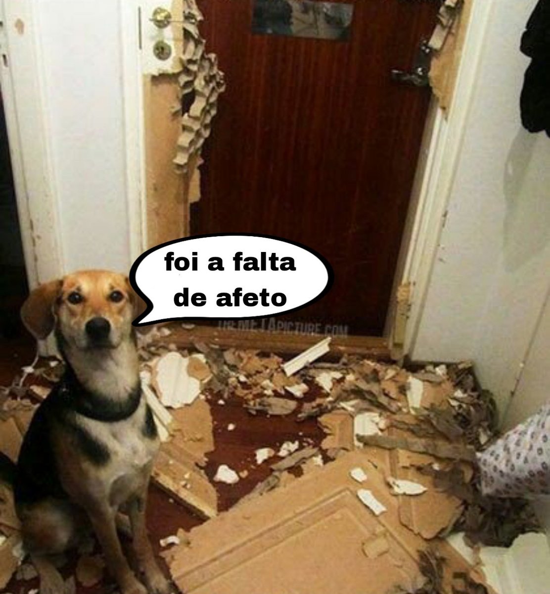 torta de frango (@tortadefrango67) on Twitter photo 