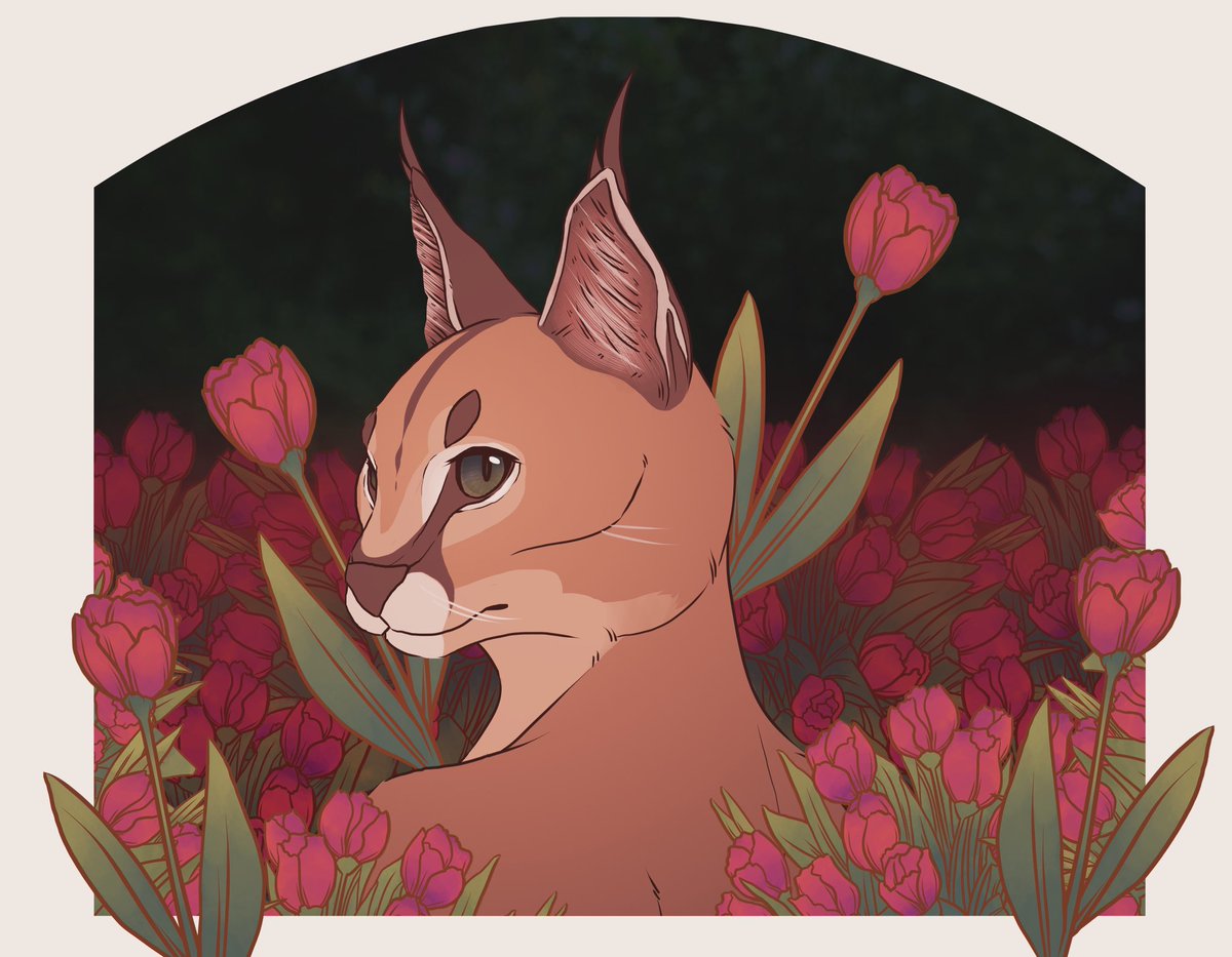sabbytries's tweet photo. Caracal 🌷 https://t.co/xEypZG5t3A