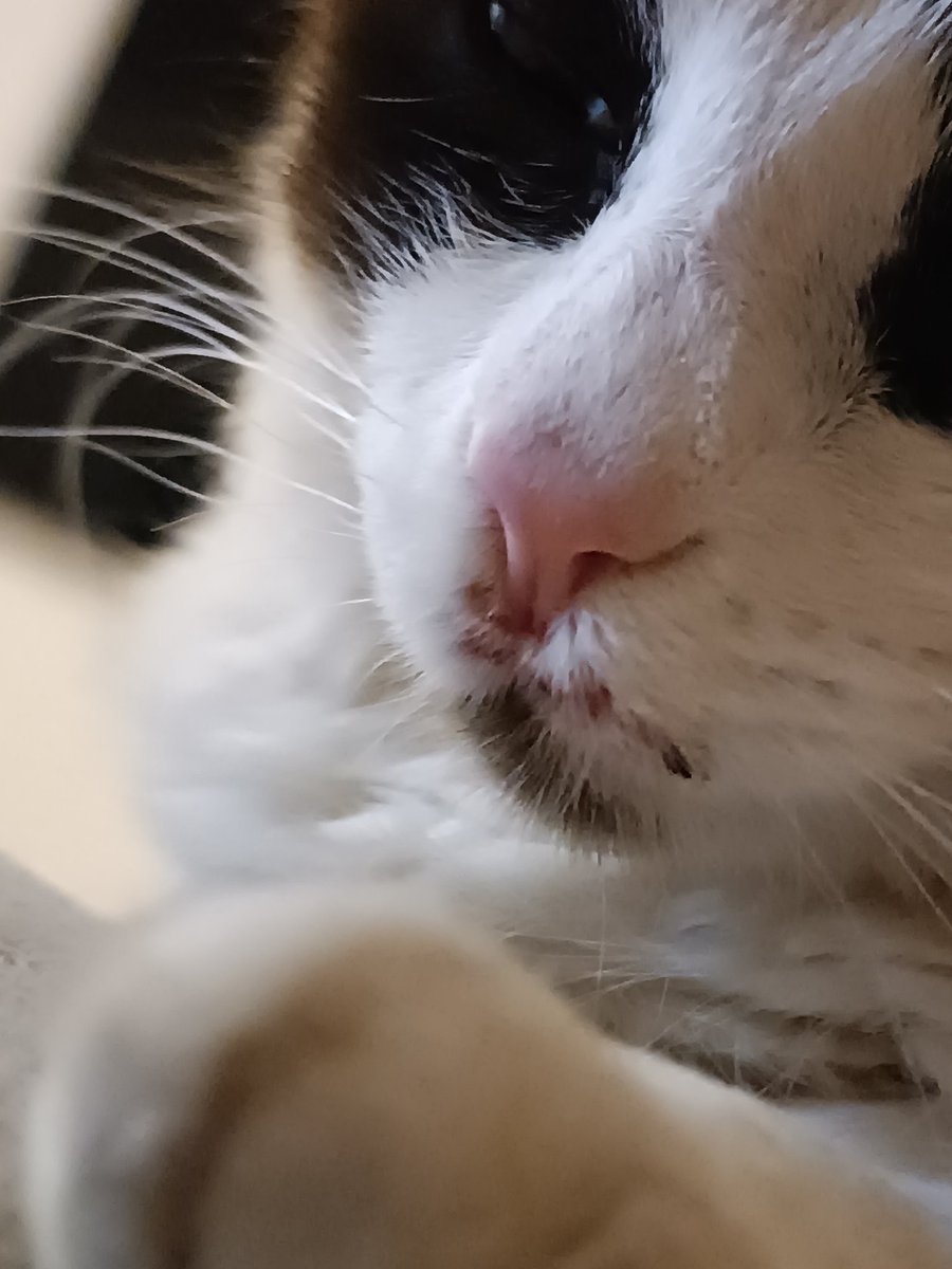 anabarci__'s tweet photo. hoje me senti uma mãe que compra tudo do bom e do melhor pro filho, da amor e carinho e ele foge de casa pra usar droga

a vagabunda sumiu e ainda apanhou na rua biscate https://t.co/zo1nl8Cbvg