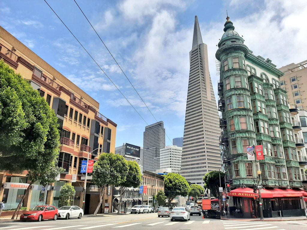 _jcgallardo's tweet photo. De nuevo, pisando los USA por la costa oeste. #SanFrancisco te recibe bastante nublado ¡y con frío! De las Painted Ladies al Sentinel y la pirámide Transamerica, pasando por City Lights, emblemática librería a las puertas de Chinatown. #PostalesDesdeSanFrancisco #SFcoPostcards https://t.co/elP72mqUc9
