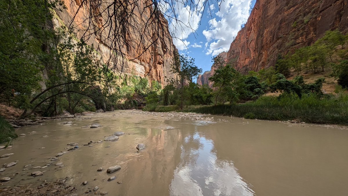 uber1337 tweet media